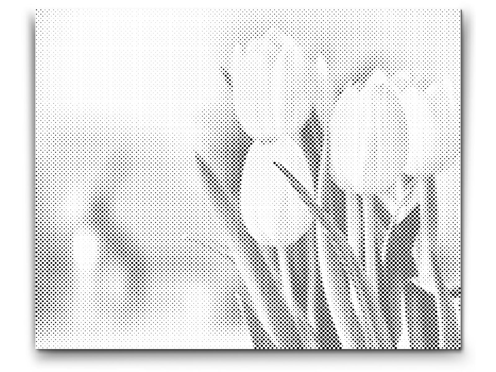 Dotting Points - White Tulips